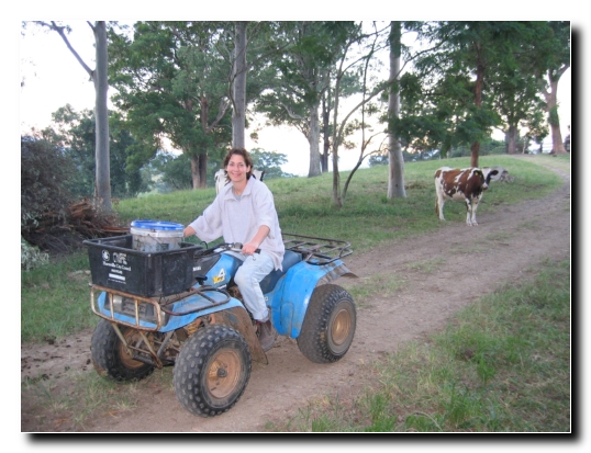 044 Die Quad Safarie